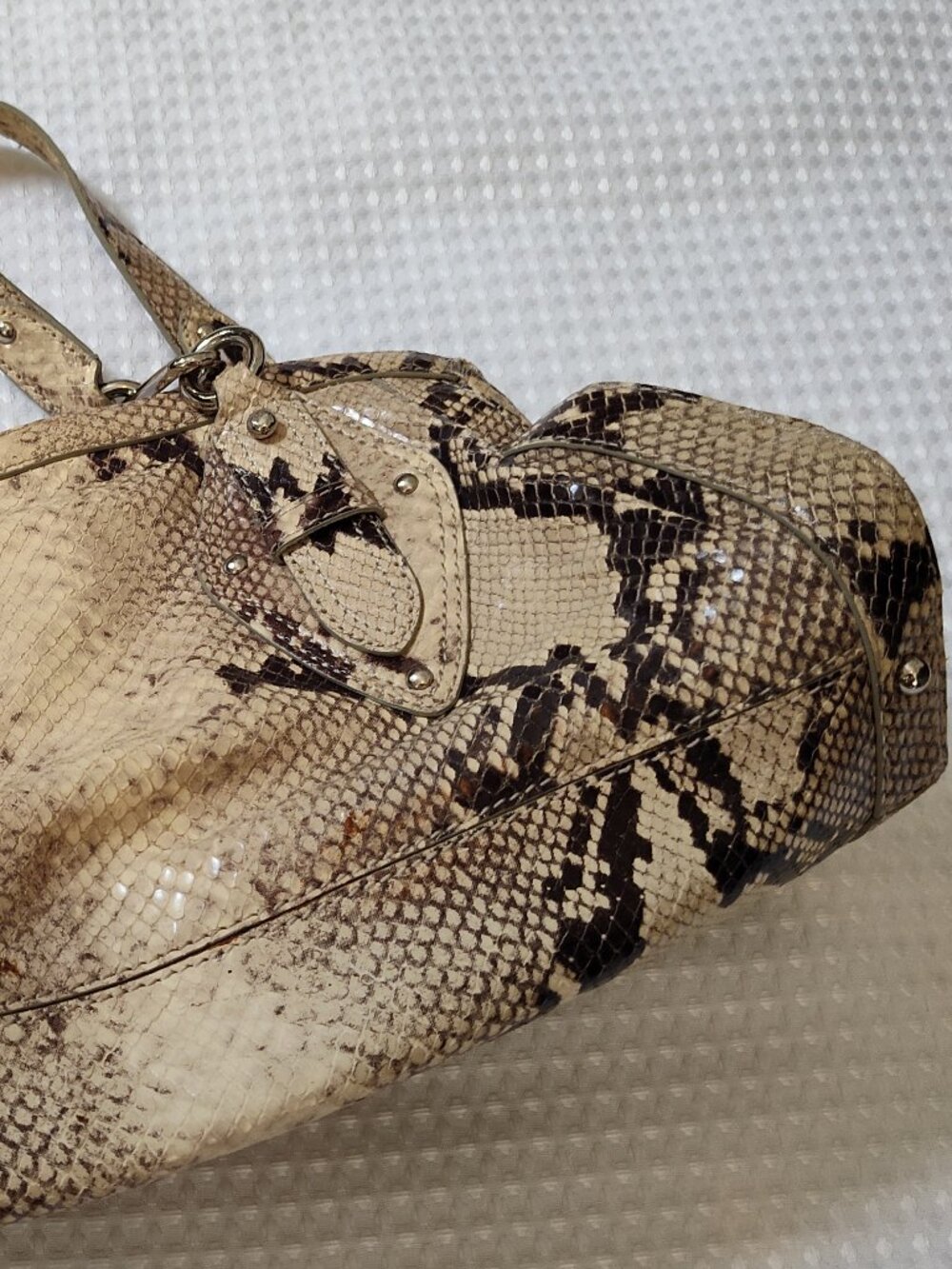 ColeHaan, Trinity Python, Shoulder Bag, Y2K, Spring 2005 - Picture 5 of 12